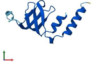 AlphaFold protein structure predicition of Mouse Recombinant Lsm2 Protein, UniprotID O35900 (LSM2 Protein (AA 1-95) (His tag))