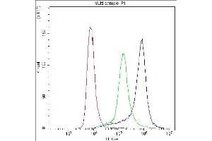 Flow Cytometry analysis of THP-1 cells using anti- P-Selectin antibody . (P-Selectin antibody  (AA 42-271))
