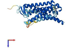 Olfactory Receptor, Family 5, Subfamily B, Member 12 (OR5B12) (AA 1-314) protein (His tag)
