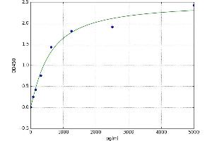 Sphingosine-1-Phosphate Receptor 5 (S1PR5) ELISA Kit