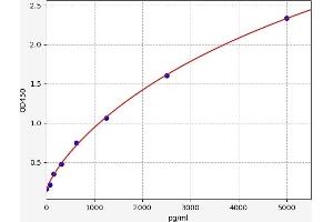 Bone Morphogenetic Protein 1 (BMP1) ELISA Kit