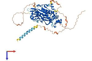 AlphaFold protein structure predicition of Mouse Recombinant Mgat3 Protein, UniprotID Q10470 (MGAT3 Protein (AA 1-538) (His tag))