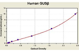 Diagramm of the ELISA kit to detect Human GUSbetawith the optical density on the x-axis and the concentration on the y-axis. (Glucuronidase beta ELISA Kit)