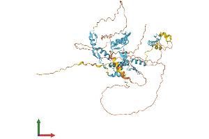 AlphaFold protein structure predicition of Human Recombinant ZNF8 Protein, UniprotID P17098 (ZNF8 Protein (AA 1-575) (His tag))