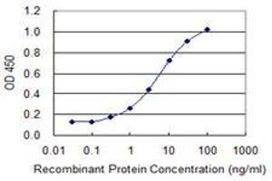 Detection limit for recombinant GST tagged CYLC1 is 0. (CYLC1 antibody  (AA 526-625))