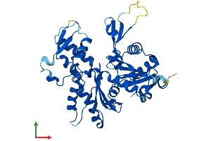 Protein Structure (PS) image for Actin-Related Protein T2 (ACTRT2) (AA 1-377) protein (His tag) (ABIN7551924)