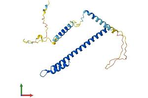 Protein Structure (PS) image for Coiled-Coil Domain Containing 59 (CCDC59) (AA 1-240) protein (His tag) (ABIN7559697)