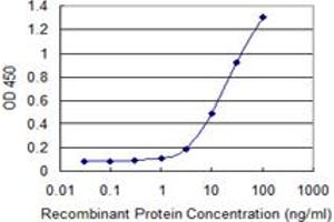 Detection limit for recombinant GST tagged EOMES is 1 ng/ml as a capture antibody. (EOMES antibody  (AA 461-569))