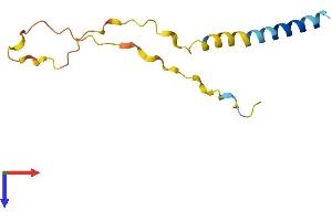 AlphaFold protein structure predicition of Mouse Recombinant Cystm1 Protein, UniprotID Q8K353 (C5orf32 Protein (AA 1-104) (His tag))