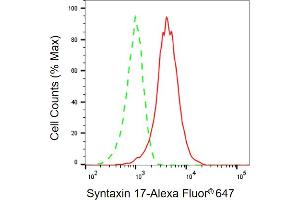 Flow cytometric analysis of Syntaxin 17 expression in HepG2 cells using Syntaxin 17 antibody (ABIN7800494), 1:2,000).