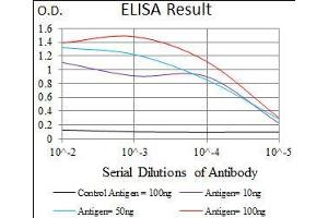 Black line: Control Antigen (100 ng), Purple line: Antigen(10 ng), Blue line: Antigen (50 ng), Red line: Antigen (100 ng), (SLC27A5 antibody  (AA 508-570))