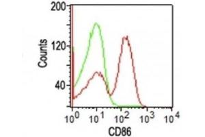 Image no. 1 for anti-CD86 (CD86) antibody (ABIN6185431) (CD86 antibody)