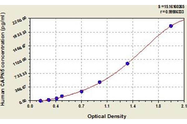 Calpain 5 ELISA Kit