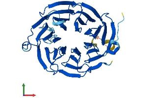 AlphaFold protein structure predicition of Human Recombinant EIF3I Protein, UniprotID Q13347