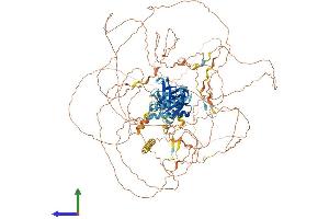 AlphaFold protein structure predicition of Mouse Recombinant Irs4 Protein, UniprotID Q9Z0Y7 (IRS4 Protein (AA 1-1216) (His tag))
