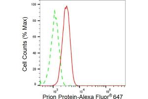 anti-Prion Protein (PRNP) antibody