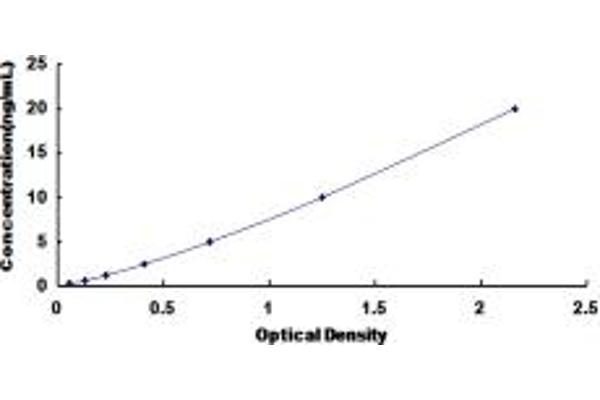 ADCY10 ELISA Kit