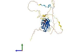 AlphaFold protein structure predicition of Human Recombinant C2CD4D Protein, UniprotID B7Z1M9 (C2cd4d Protein (AA 1-353) (His tag))