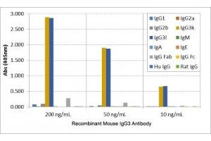 ELISA of mouse immunoglobulins shows the recombinant Mouse IgG3 antibody reacts to both mouse IgG3, kappa and IgG3, lambda (Recombinant Rabbit anti-Mouse IgG3 Antibody)