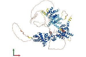 Protein Structure (PS) image for Eukaryotic Translation Initiation Factor 4 gamma 2 (EIF4G2) (AA 1-907) protein (His tag) (ABIN7554171)