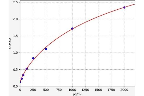 NMDAR2A ELISA Kit