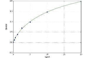 Lactamase, beta (LACTB) ELISA Kit