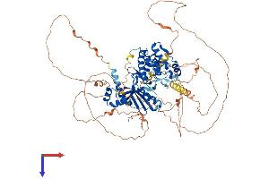 AlphaFold protein structure predicition of Mouse Recombinant Sik1 Protein, UniprotID Q60670 (SIK1 Protein (AA 1-779) (His tag))