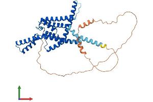 Protein Structure (PS) image for Potassium Channel, Subfamily K, Member 3 (KCNK3) (AA 1-394) protein (His tag) (ABIN7548645)