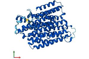 AlphaFold protein structure predicition of Mouse Recombinant Mtnd4 Protein, UniprotID P03911
