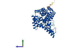 AlphaFold protein structure predicition of Mouse Recombinant Fads1 Protein, UniprotID Q920L1