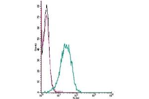 Flow Cytometry (FACS) image for anti-Chemokine (C-X-C Motif) Receptor 4 (CXCR4) (AA 2-15), (Extracellular) antibody (ABIN7043040)