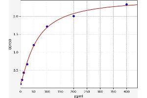 Calbindin (CALB1) ELISA Kit