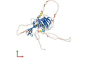 AlphaFold protein structure predicition of Human Recombinant USP17L3 Protein, UniprotID A6NCW0 (USP17L3 Protein (AA 1-530) (His tag))