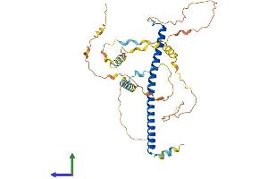 AlphaFold protein structure predicition of Human Recombinant CEBPA Protein, UniprotID P49715 (CEBPA Protein (AA 1-358) (His tag))