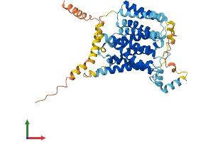 AlphaFold protein structure predicition of Mouse Recombinant Slc35a5 Protein, UniprotID Q921R7 (SLC35A5 Protein (AA 1-437) (His tag))