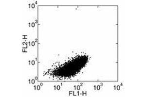 Image no. 2 for anti-Interleukin 1 alpha (IL1A) antibody (FITC) (ABIN473783) (IL1A antibody  (FITC))