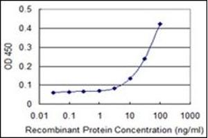 ELISA image for anti-Natriuretic Peptide Receptor B/guanylate Cyclase B (Atrionatriuretic Peptide Receptor B) (NPR2) antibody (ABIN781925) (NPR2 antibody)