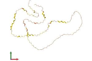 Protein Structure (PS) image for BCL2 Binding Component 3 (BBC3) (AA 1-261) protein (His tag) (ABIN7552658)