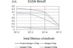 Black line: Control Antigen (100 ng),Purple line: Antigen (10 ng), Blue line: Antigen (50 ng), Red line:Antigen (100 ng) (LIFR antibody  (AA 22-441))
