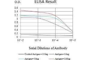 Black line: Control Antigen (100 ng),Purple line: Antigen (10 ng), Blue line: Antigen (50 ng), Red line:Antigen (100 ng) (LIFR antibody  (AA 45-188))