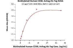 ELISA image for Tumor Necrosis Factor Receptor Superfamily, Member 8 (TNFRSF8) (AA 19-379) (Active) protein (His tag,AVI tag,Biotin) (ABIN3137687)