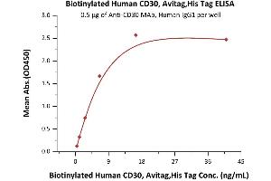 Immobilized A MAb, Human IgG1 at 5 μg/mL (100 μL/well) can bind Biotinylated Human CD30, Avitag,His Tag (ABIN3137687,ABIN5674026) with a linear range of 0. (TNFRSF8 Protein (AA 19-379) (His tag,AVI tag,Biotin))