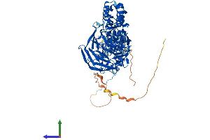 AlphaFold protein structure predicition of Mouse Recombinant Klhl17 Protein, UniprotID Q6TDP3 (KLHL17 Protein (AA 1-640) (His tag))