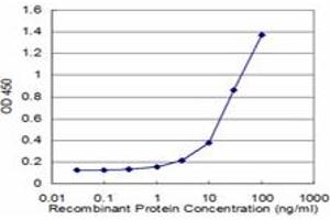 Detection limit for recombinant GST tagged RPL32 is approximately 1ng/ml as a capture antibody. (RPL32 antibody  (AA 33-132))