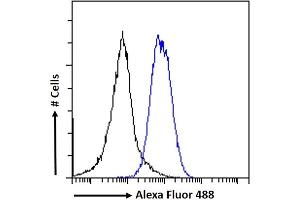 (ABIN238631) Flow cytometric analysis of paraformaldehyde fixed A549 cells (blue line), permeabilized with 0. (EPB41L5 antibody  (Internal Region))