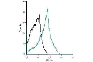 Cell surface detection of NK1 receptor in MEG-O1 living cells: (black line) Unstained cells. (TACR1 antibody  (Extracellular) (Atto 488))