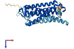 AlphaFold protein structure predicition of Human Recombinant OR5M10 Protein, UniprotID Q6IEU7 (OR5M10 Protein (AA 1-315) (His tag))