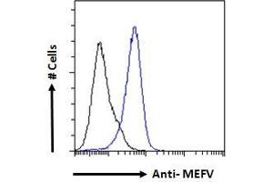 ABIN185451 Flow cytometric analysis of paraformaldehyde fixed A431 cells (blue line), permeabilized with 0. (MEFV antibody  (Internal Region))