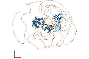 AlphaFold protein structure predicition of Mouse Recombinant Fgd5 Protein, UniprotID Q80UZ0