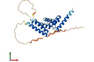 Protein Structure (PS) image for Tetratricopeptide Repeat Domain 9 (TTC9) (AA 1-222) protein (His tag) (ABIN7544790)
